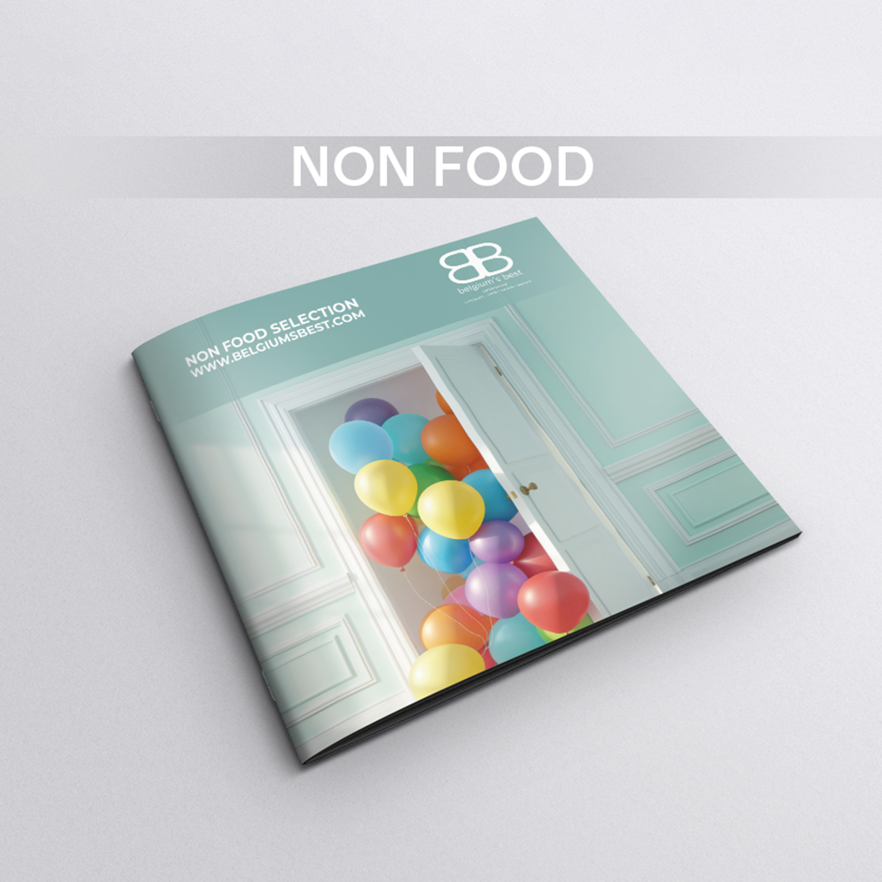 Non food Catalogue